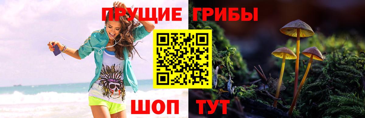 Галлюциногенные грибы Psilocybe  Галлюциногенные грибы ЛСД  Сегежа  купить наркоту  Вход с VPN 