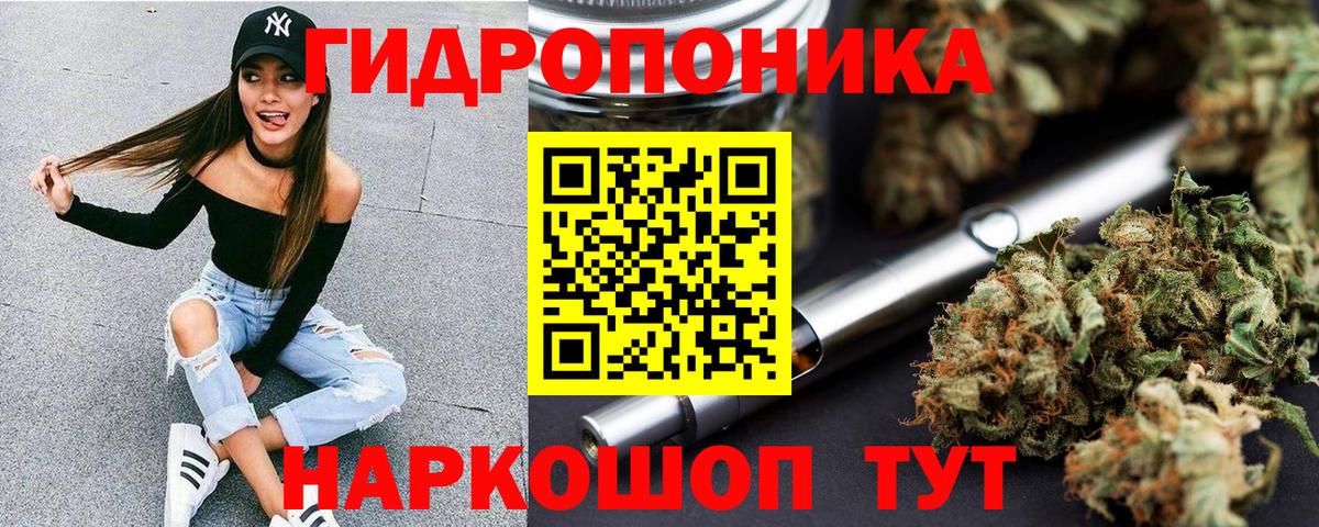 Бошки марихуана ГИДРОПОН  Бошки марихуана гибрид  МАРИХУАНА Bruce Banner  Вход с VPN  Сегежа 